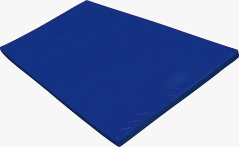 Judo Mat 2m X 1m X 6cm (45mm Foam, 10mm Polyethylene and 5mm Plywood) With Foam Cover