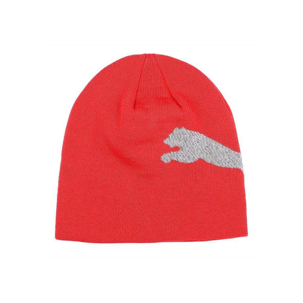Puma Unisex Ess Logo Winter Beanie Bhaseen Sports Pvt. Ltd